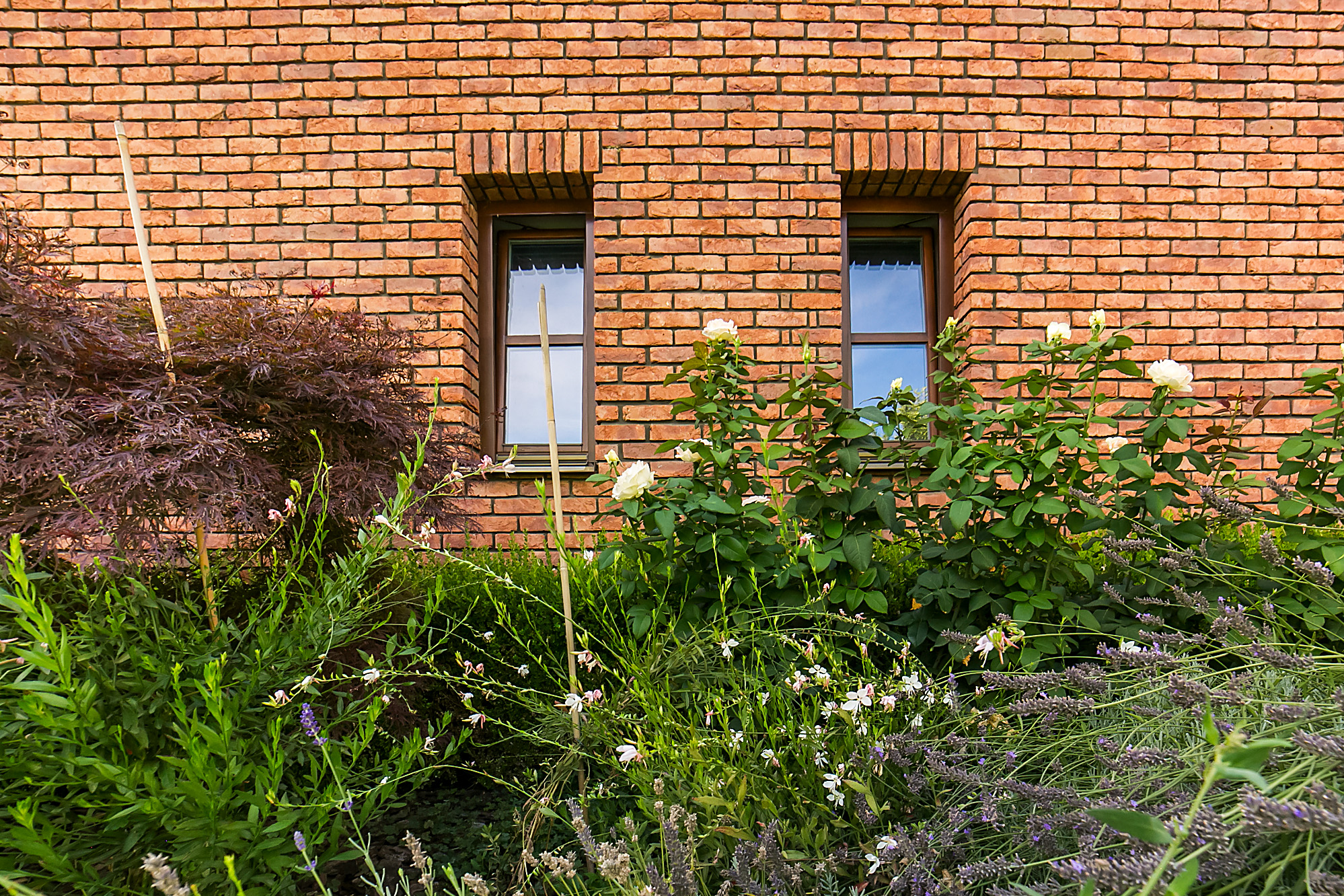 Terra cotta 