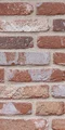 Limburgs Rood