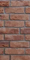 Terra Cotta