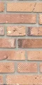 Terra Cotta Economy