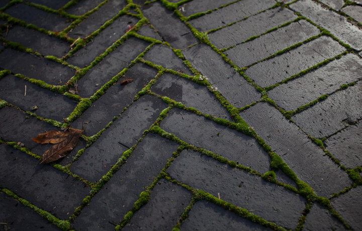 Tehla vs. Betón: Tieto dôvody vás presvedčia vybrať si tehlovú dlažbu!