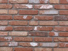 Cement-gray grout