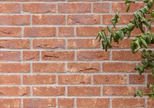 White-gray grout