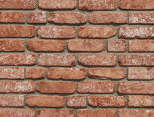 Cement-gray grout