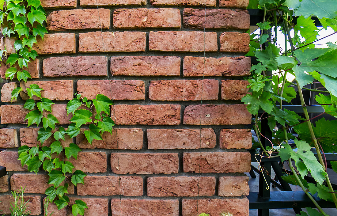 Terra cotta 