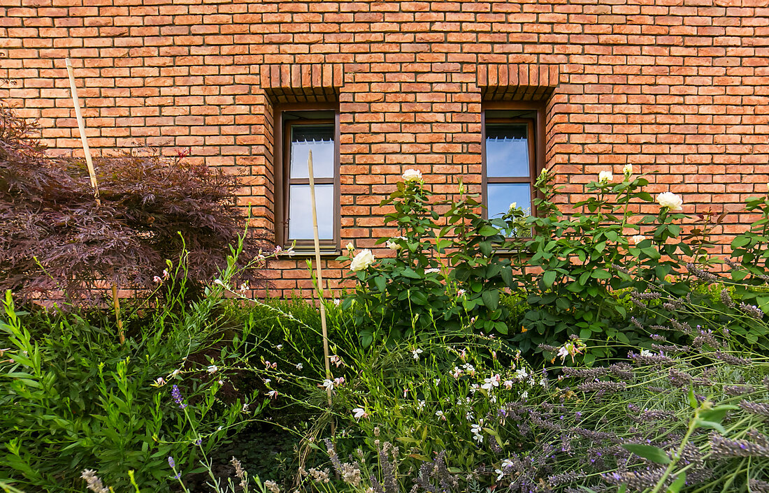 Terra cotta
