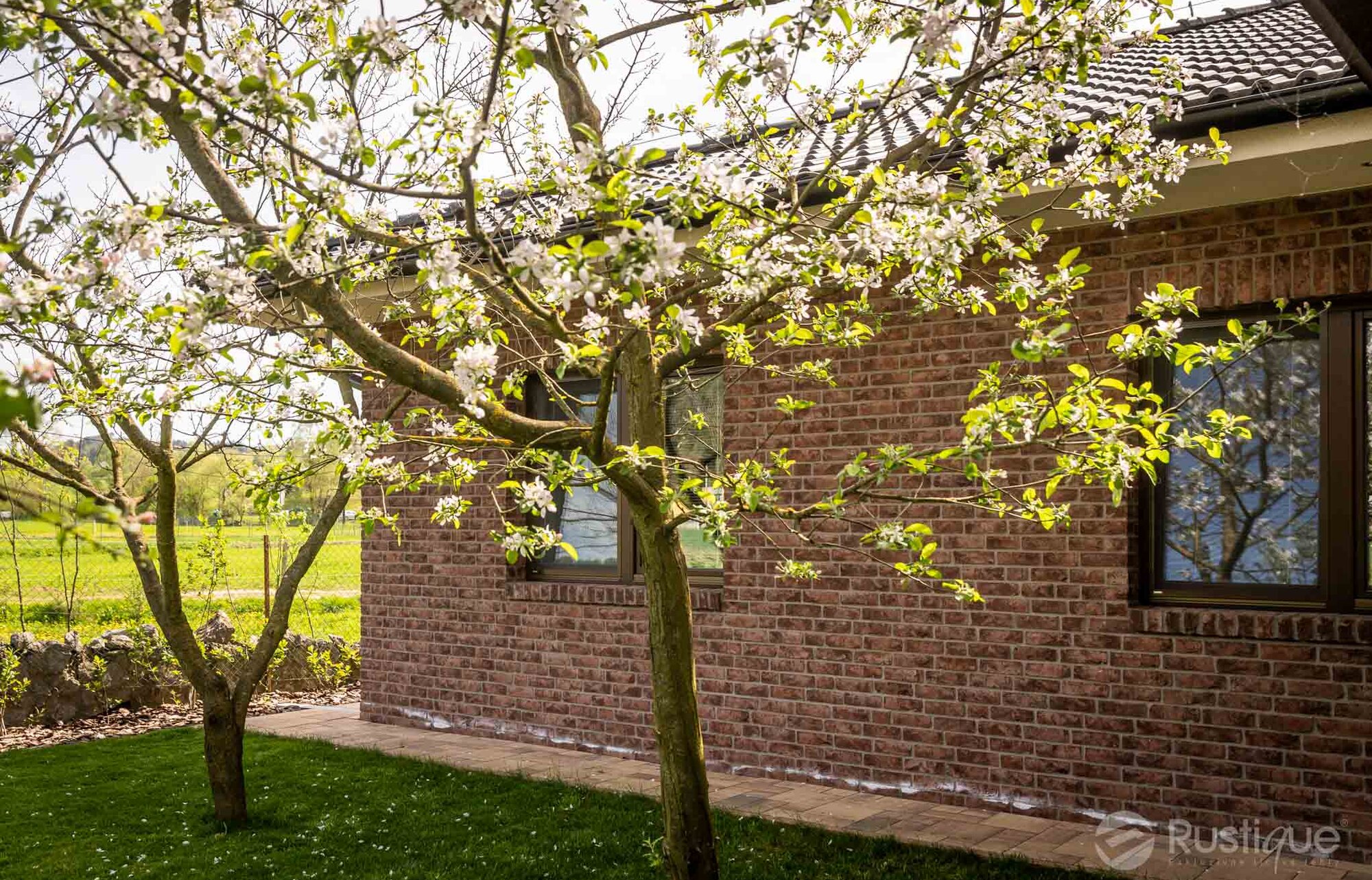 Tehlový obklad Purple na fasáde a plote rodinného domu