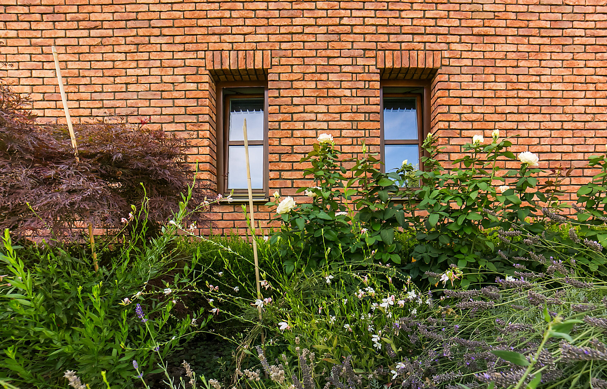 Terra cotta