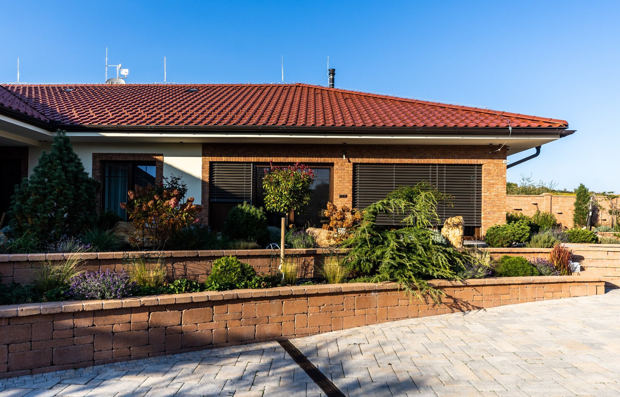 Terra Cotta