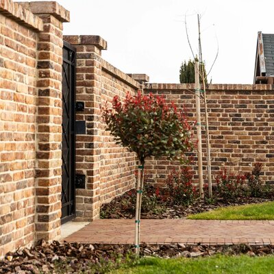 Tehlový obklad Castello na plote rodinného domu