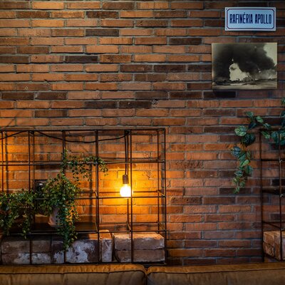 tehlový obklad Economy Mix v bare