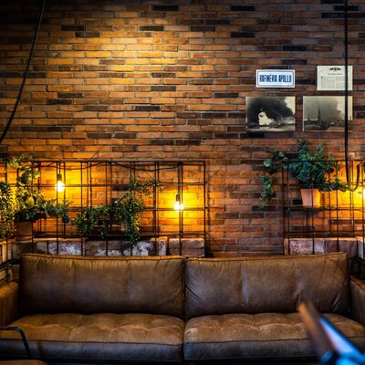 tehlový obklad Economy Mix v bare