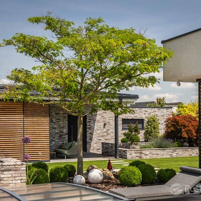 Rodinný dom s tehlovým obkladom London Dark na fasáde, múrikoch a plote