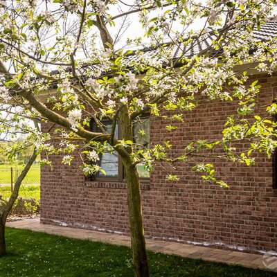 Tehlový obklad Purple na fasáde a plote rodinného domu