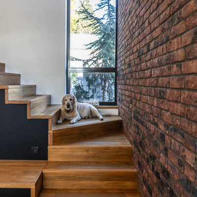 Tehlový obklad Purple Gesinteld v interiéri pri schodisku