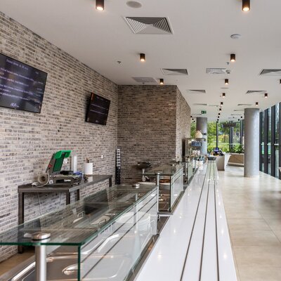 Rainbow Snowdust economy