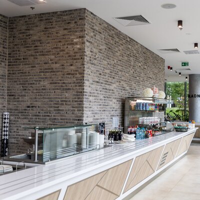 Rainbow Snowdust economy