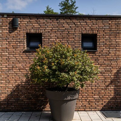 Tehlový obklad Rustique Economy Mix & Hermitage Antiek na fasáde v restaurácii