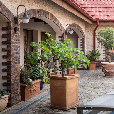 Tehlový obklad Violet na fasáde rodinného domu