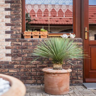 Tehlový obklad Violet na fasáde rodinného domu