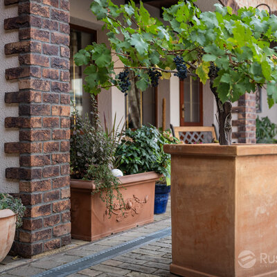 Tehlový obklad Violet na fasáde rodinného domu