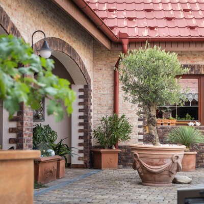 Tehlový obklad Violet na fasáde rodinného domu