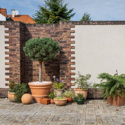 Tehlový obklad Violet na fasáde a na plote rodinného domu