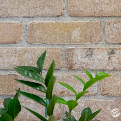 Schodisko tehlovým obkladom Washington v rodinnom dome