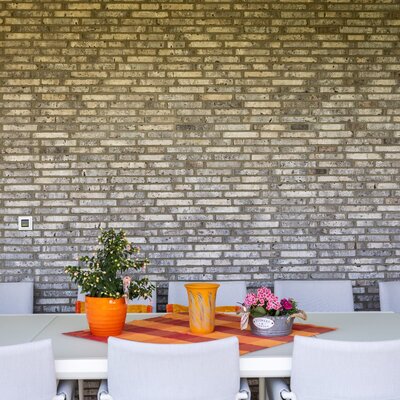 tehlový obklad rainbow snowdust economy na rodinnom dome